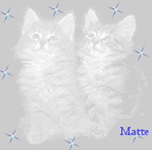Ma création